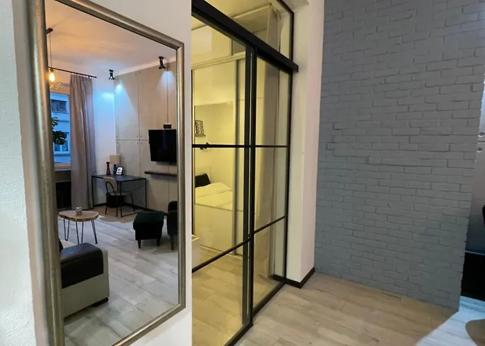 Iron Loft 公寓 弗罗茨瓦夫